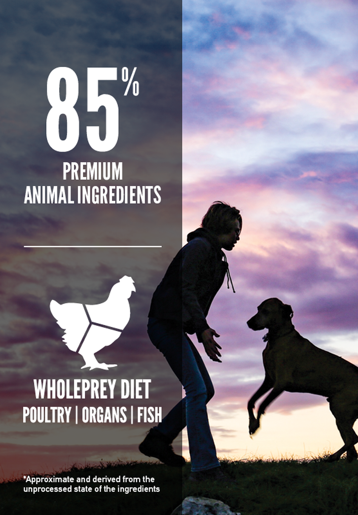 ORIJEN Puppy Large Dog Food full nutrition