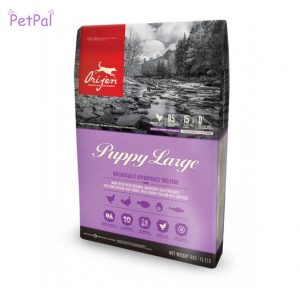 front of ORIJEN Puppy Large dog food front