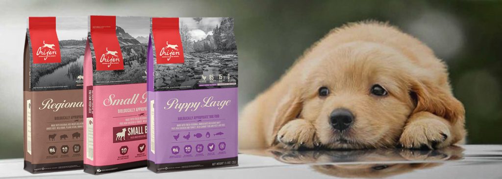 Orijen puppy large dog food