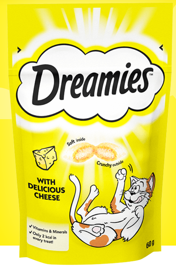 Know detail of cheese cat cookie