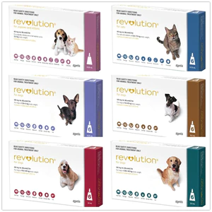 Know detail ofRevolution Deworming Medicine