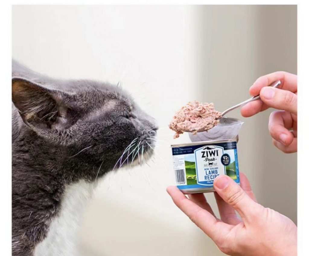 Know detail of Beef canned